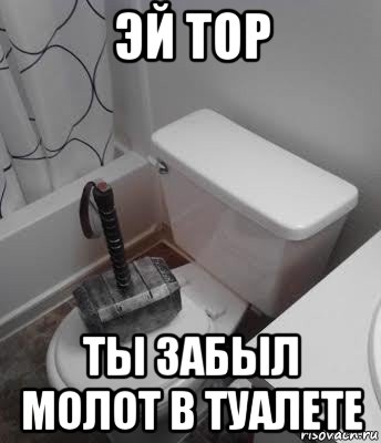 эй тор ты забыл молот в туалете