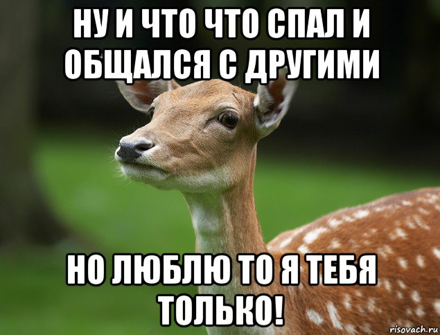 ну и что что спал и общался с другими но люблю то я тебя только!