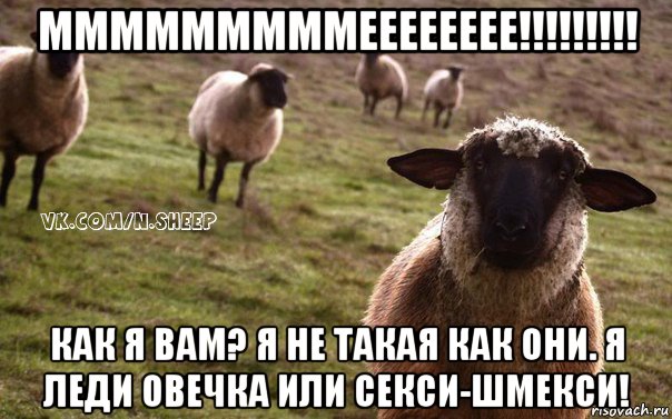мммммммммееееееее!!!!!!!!! как я вам? я не такая как они. я леди овечка или секси-шмекси!, Мем  Наивная Овца