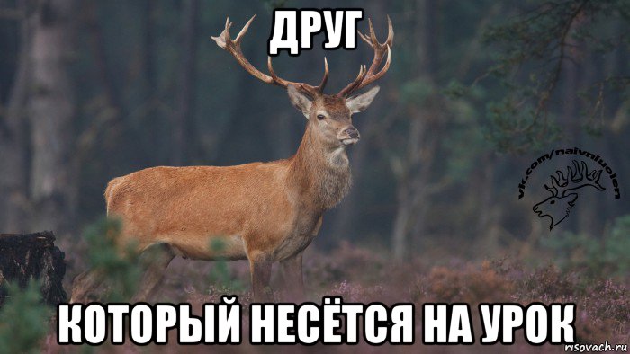 друг который несётся на урок, Мем Наивный олень v3