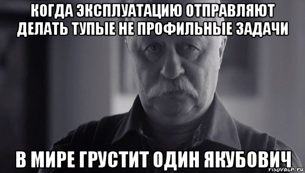 когда эксплуатацию отправляют делать тупые не профильные задачи в мире грустит один якубович, Мем Не огорчай Леонида Аркадьевича