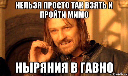 нельзя просто так взять и пройти мимо ныряния в гавно, Мем Нельзя просто так взять и (Боромир мем)