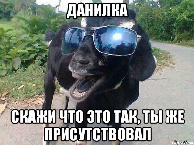 данилка скажи что это так, ты же присутствовал