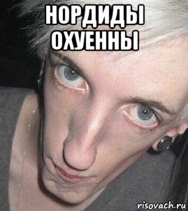 нордиды охуенны 