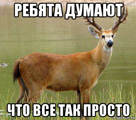 ребята думают что все так просто, Мем олень года