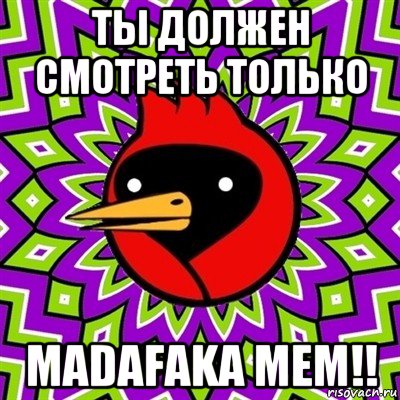 ты должен смотреть только madafaka mem!!, Мем Омская птица