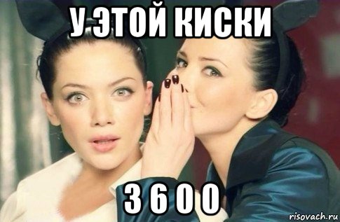 у этой киски 3 6 0 0, Мем  Он