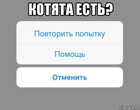 котята есть? , Мем Отменить Помощь Повторить попытку