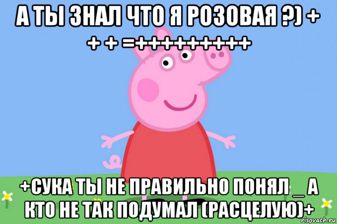 а ты знал что я розовая ?) + + + =+++++++++ +сука ты не правильно понял _ а кто не так подумал (расцелую)+, Мем Пеппа