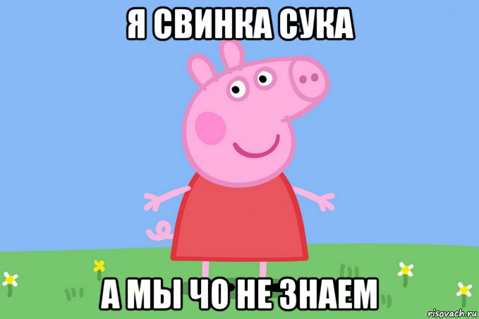 я свинка сука а мы чо не знаем, Мем Пеппа