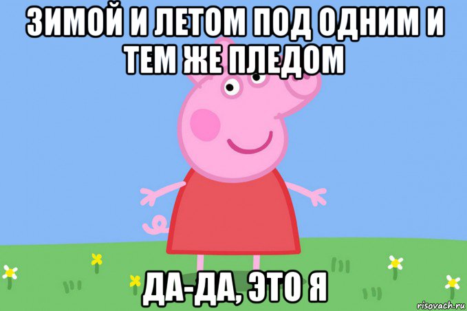 зимой и летом под одним и тем же пледом да-да, это я, Мем Пеппа