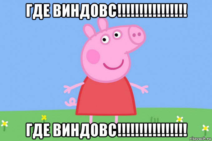 где виндовс!!!!!!!!!!!!!!!! где виндовс!!!!!!!!!!!!!!!!, Мем Пеппа