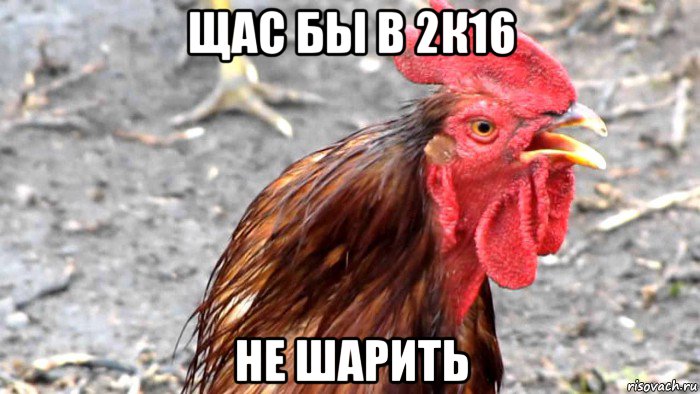 щас бы в 2к16 не шарить