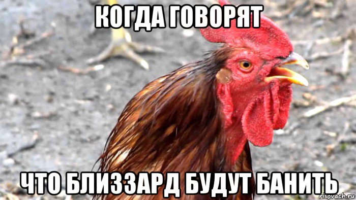 когда говорят что близзард будут банить