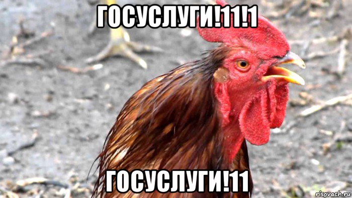 госуслуги!11!1 госуслуги!11