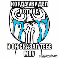 когда увидел котика и он сказал тебе мяу