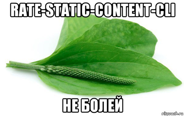 rate-static-content-cli не болей