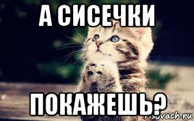 а сисечки покажешь?