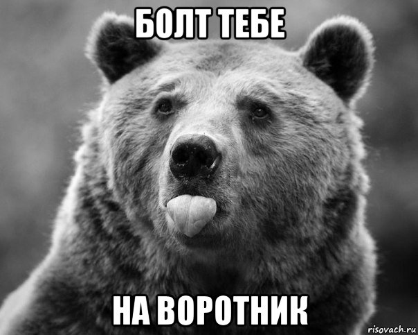 болт тебе на воротник