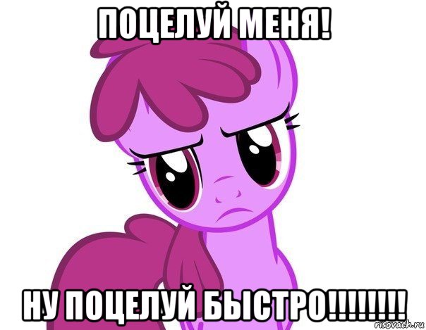 поцелуй меня! ну поцелуй быстро!!!!!!!!, Мем пони