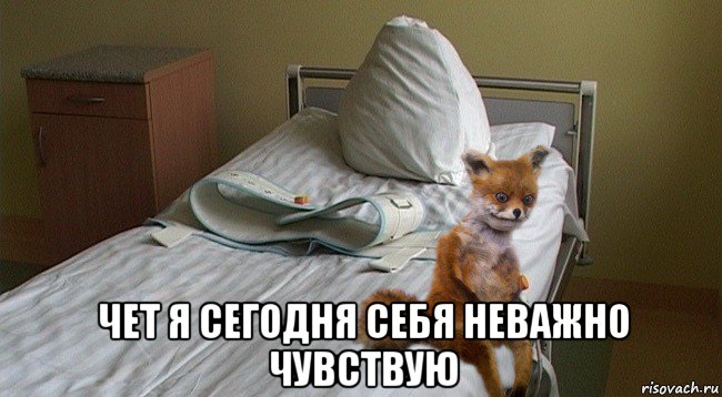  чет я сегодня себя неважно чувствую