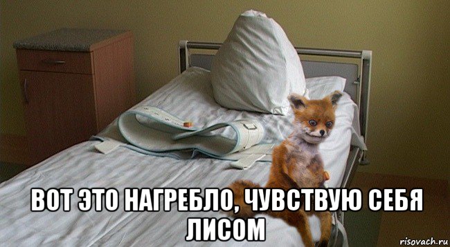  вот это нагребло, чувствую себя лисом