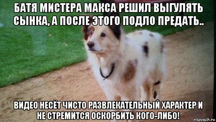 батя мистера макса решил выгулять сынка, а после этого подло предать.. видео несёт чисто развлекательный характер и не стремится оскорбить кого-либо!, Мем Пёс