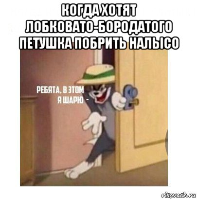 когда хотят лобковато-бородатого петушка побрить налысо , Мем Ребята я в этом шарю