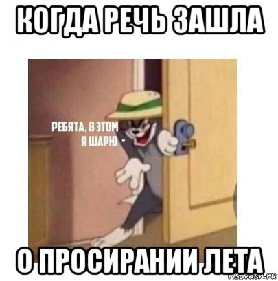 когда речь зашла о просирании лета, Мем Ребята я в этом шарю