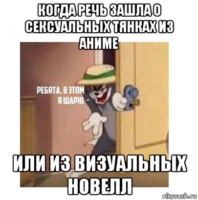 когда речь зашла о сексуальных тянках из аниме или из визуальных новелл, Мем Ребята я в этом шарю