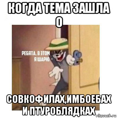 когда тема зашла о совкофилах,имбоебах и птуроблядках, Мем Ребята я в этом шарю