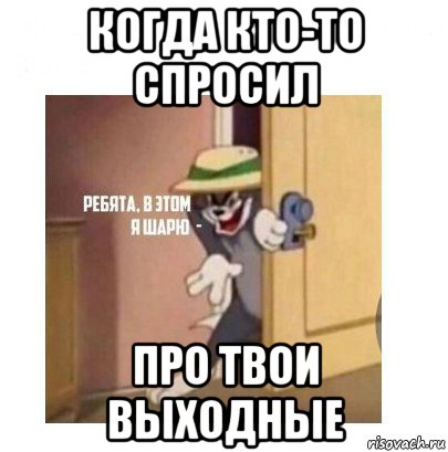 когда кто-то спросил про твои выходные, Мем Ребята я в этом шарю