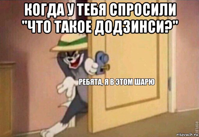 когда у тебя спросили "что такое додзинси?" , Мем    Ребята я в этом шарю