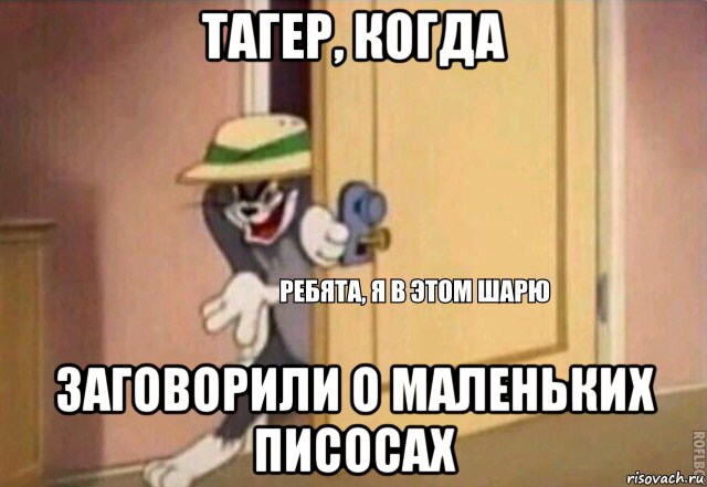 тагер, когда заговорили о маленьких писосах, Мем    Ребята я в этом шарю