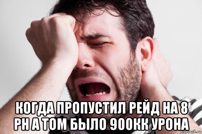  когда пропустил рейд на 8 рн а том было 900кк урона, Мем Рыдания