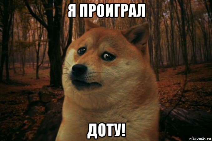 я проиграл доту!, Мем SAD DOGE