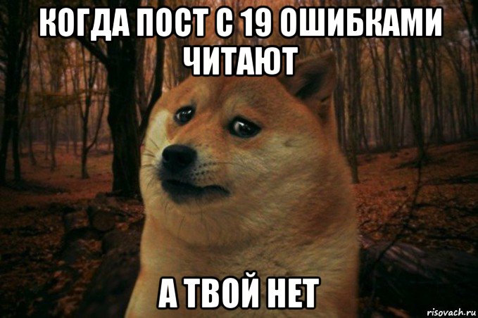 когда пост с 19 ошибками читают а твой нет, Мем SAD DOGE