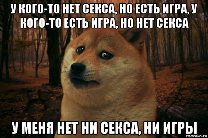 у кого-то нет секса, но есть игра, у кого-то есть игра, но нет секса у меня нет ни секса, ни игры, Мем SAD DOGE