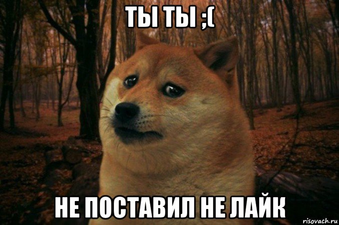 ты ты ;( не поставил не лайк, Мем SAD DOGE