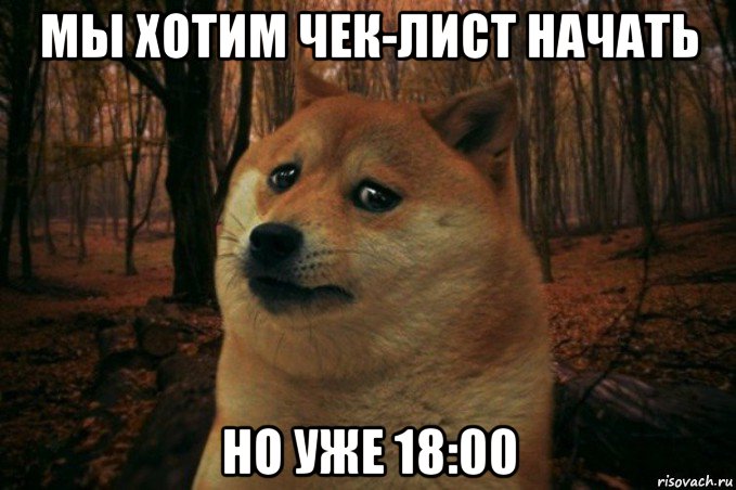 мы хотим чек-лист начать но уже 18:00, Мем SAD DOGE