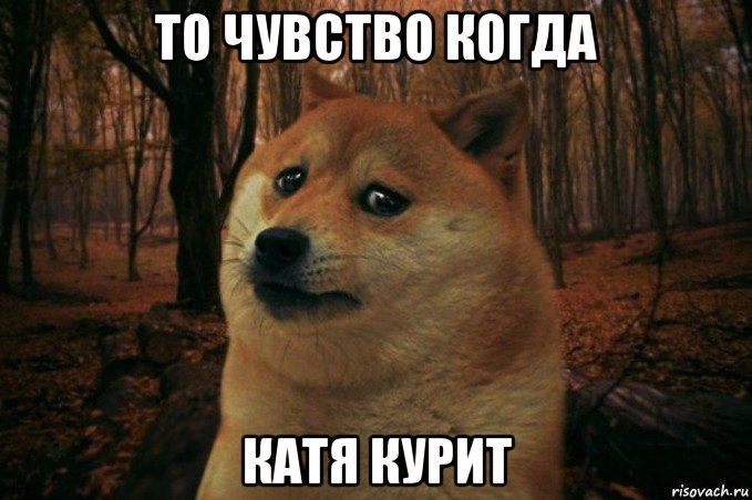 то чувство когда катя курит, Мем SAD DOGE