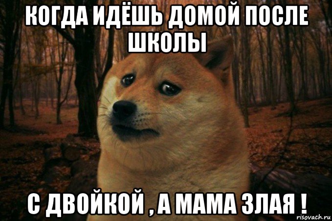 когда идёшь домой после школы с двойкой , а мама злая !, Мем SAD DOGE