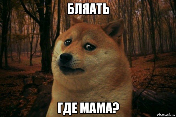 бляать где мама?, Мем SAD DOGE