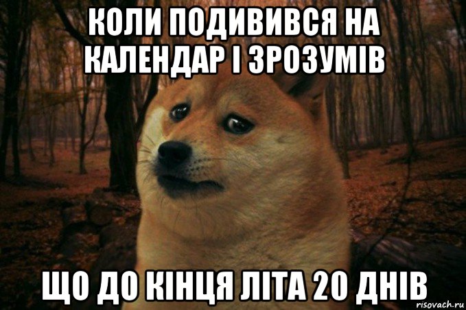 коли подивився на календар і зрозумів що до кінця літа 20 днів, Мем SAD DOGE