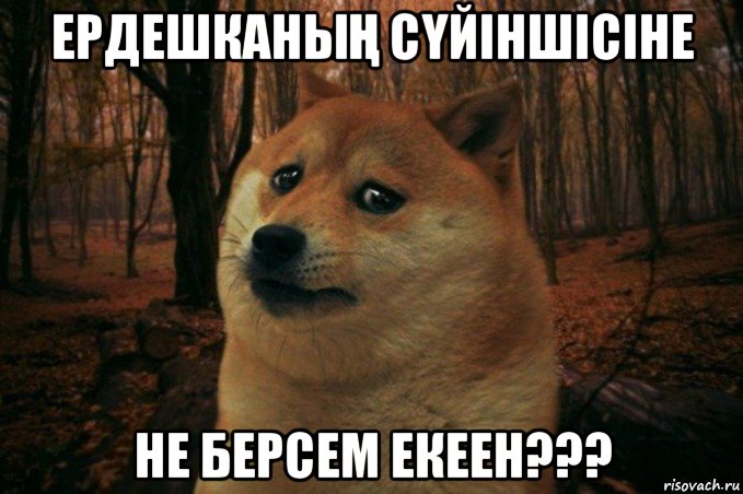 ердешканыҢ сҮйіншісіне не берсем екеен???, Мем SAD DOGE