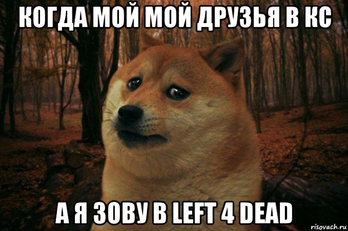 когда мой мой друзья в кс а я зову в left 4 dead, Мем SAD DOGE