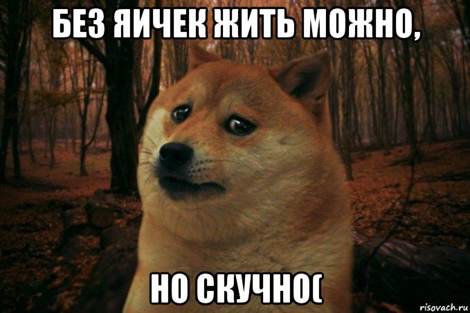 без яичек жить можно, но скучно(, Мем SAD DOGE