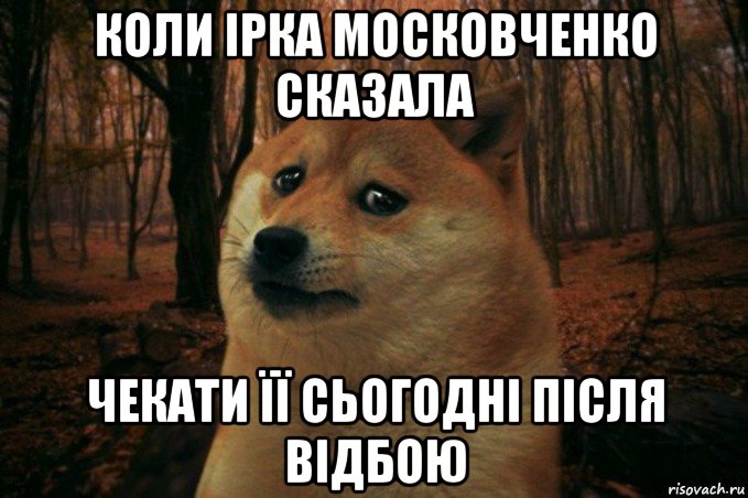 коли ірка московченко сказала чекати її сьогодні після відбою, Мем SAD DOGE