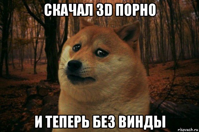 скачал 3d порно и теперь без винды, Мем SAD DOGE