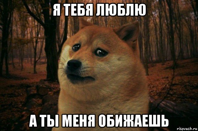 я тебя люблю а ты меня обижаешь, Мем SAD DOGE